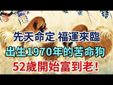 1970生肖配對|1970年屬什麼生肖配對 